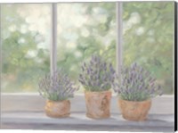 Lavender Pots Fine Art Print
