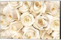 Top View - White Roses Fine Art Print
