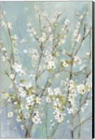 Teal Almond Blossoms Fine Art Print
