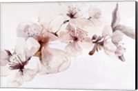 Watercolor Blossoms I Fine Art Print