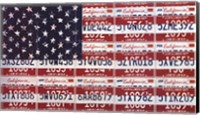 USA License Flag Fine Art Print