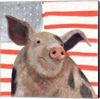 Patriotic Farm IV Fine Art Print