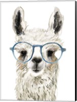 Hip Llama II Fine Art Print