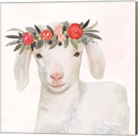 Garden Goat IV Fine Art Print