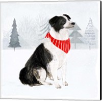 Christmas Cats & Dogs II Fine Art Print