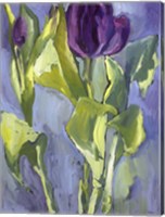 Violet Spring Flowers II Fine Art Print