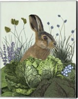 Cabbage Patch Rabbit 3 Fine Art Print