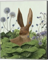 Cabbage Patch Rabbit 5 Fine Art Print