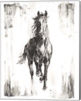 Rustic Black Stallion I Fine Art Print