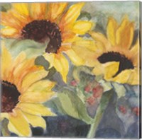Sunflowers in Watercolor II Fine Art Print