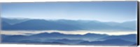 Misty Mountains XII Fine Art Print