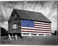 Flags of Our Farmers XIV Fine Art Print