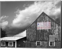 Flags of Our Farmers VII Fine Art Print