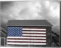 Flags of Our Farmers IX Fine Art Print