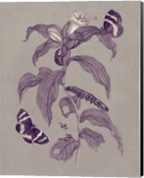 Nature Study in Plum & Taupe I Fine Art Print