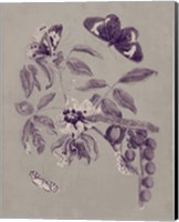 Nature Study in Plum & Taupe II Fine Art Print
