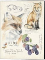 Wildlife Journals III Fine Art Print