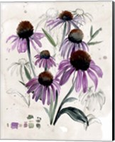 Purple Wildflowers II Fine Art Print