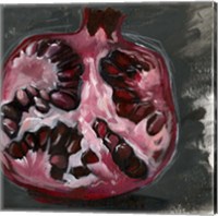 Pomegranate Study on Black II Fine Art Print
