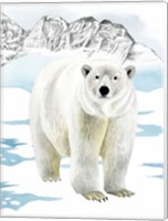 Arctic Animal II Fine Art Print
