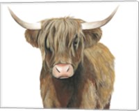 Highland Cattle II Fine Art Print
