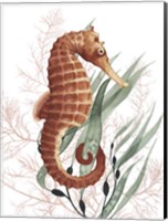 Seahorse Treasures I Fine Art Print