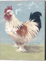 Farm Life-Chickens II Fine Art Print