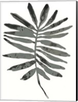 Foliage Fossil VII Fine Art Print