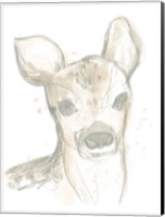 Deer Cameo I Fine Art Print