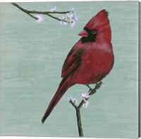 Bird & Blossoms II Fine Art Print