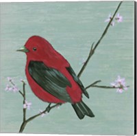 Bird & Blossoms III Fine Art Print