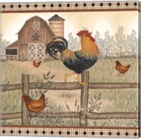 Rustic Farm Rooster Fine Art Print