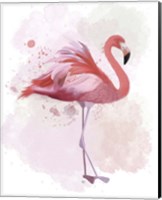 Fluffy Flamingo 2 Fine Art Print