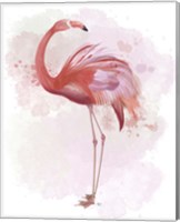 Fluffy Flamingo 3 Fine Art Print