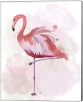 Fluffy Flamingo 4 Fine Art Print