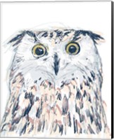 Funky Owl Portrait II Fine Art Print