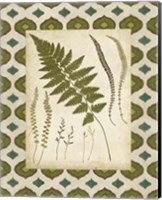 Moroccan Ferns II Fine Art Print