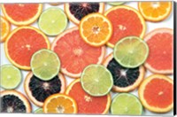 Sunny Citrus IV Fine Art Print