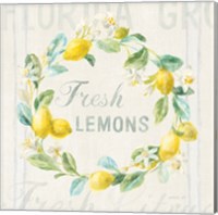 Floursack Lemon V Fine Art Print