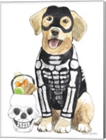 Halloween Pets VII Fine Art Print