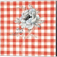 Sketchbook Garden VIII Red Checker Fine Art Print