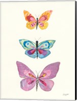 Butterfly Charts III Fine Art Print