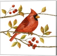 Birds & Berries III Fine Art Print