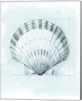 Coastal Shell Schematic III Fine Art Print