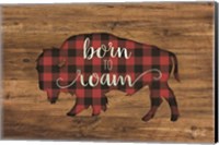 Born to Roam Bison Fine Art Print