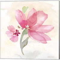 Poppy Single Pink Fine Art Print