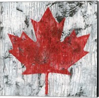 Canada Maple Leaf I Fine Art Print