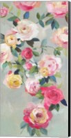 Cascade of Roses III Fine Art Print