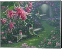 Hummingbird Haven Fine Art Print