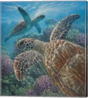 Sea Turtles - Turtle Bay Fine Art Print